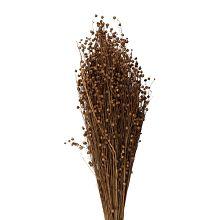 Svazek sušených rostlin