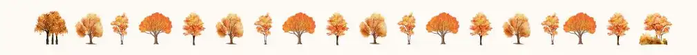 autumn tree separator
